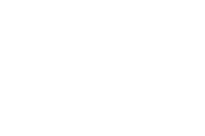 official selection ficcterra 2023 black