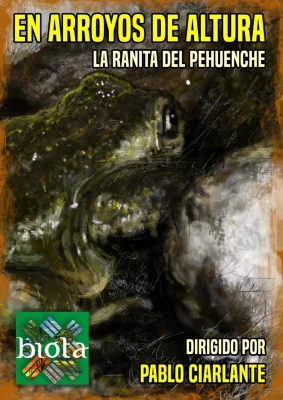 en arroyos de altura, la ranita del pehuenche, pablo ciarlante, documental, documentary, biota, conicet, CCT